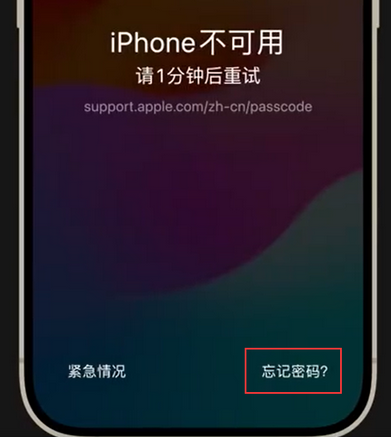 梅江苹果手机密码维修分享iPhone忘记了刚设置的密码 