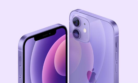 梅江苹果手机维修分享紫色版iPhone 12有什么技术亮点 